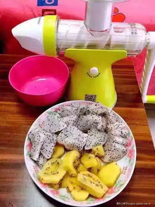 果語榨汁機廠家直銷 享受正品批發價格，輕松制作健康蔬菜汁